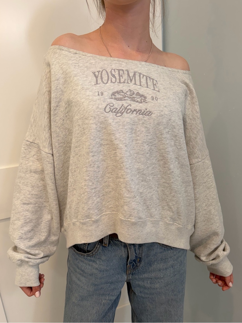 Hollister Yosemite California Off-Shoulder Sweatshirt - Light Gray - Size L